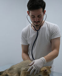Dr. Daniel Foster