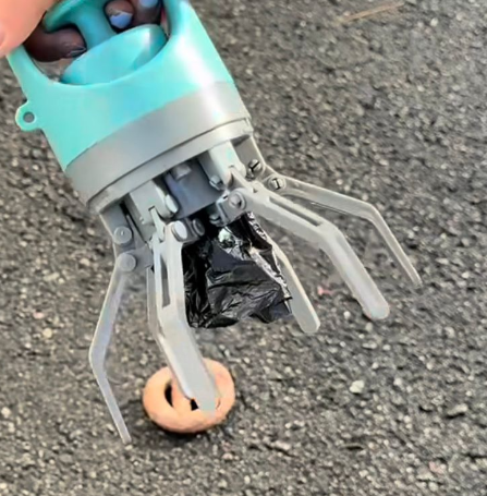 Lauren M. — Melbourne, VIC