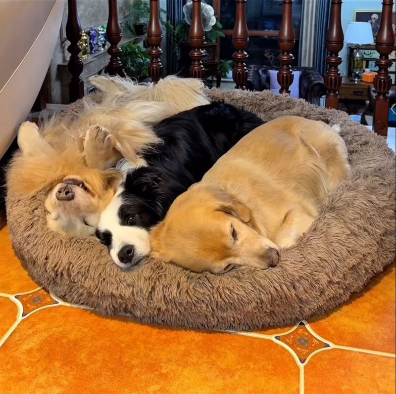 Grace T. – Hamilton, Canada