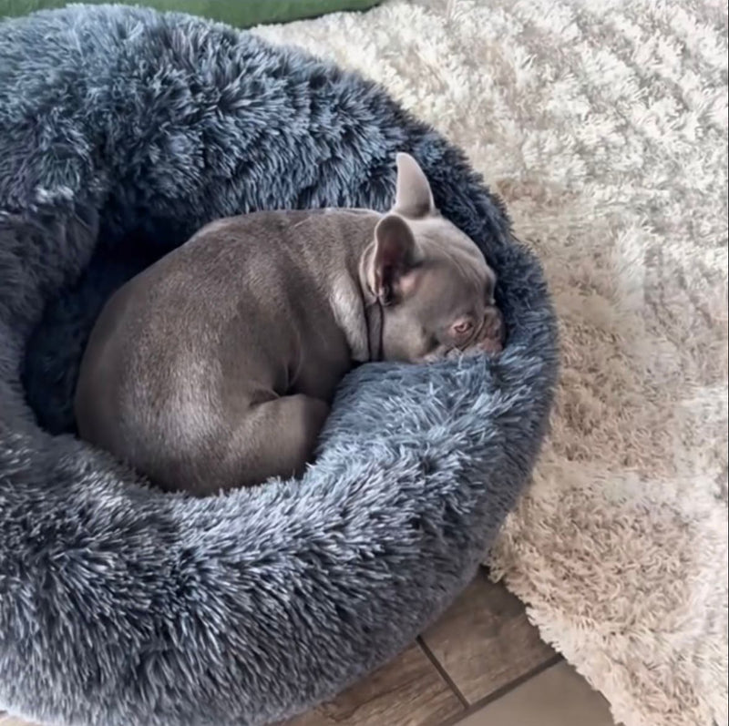 Lily S. – Calgary, Canada