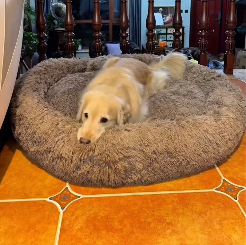 Jessica L. – Calgary, Canada