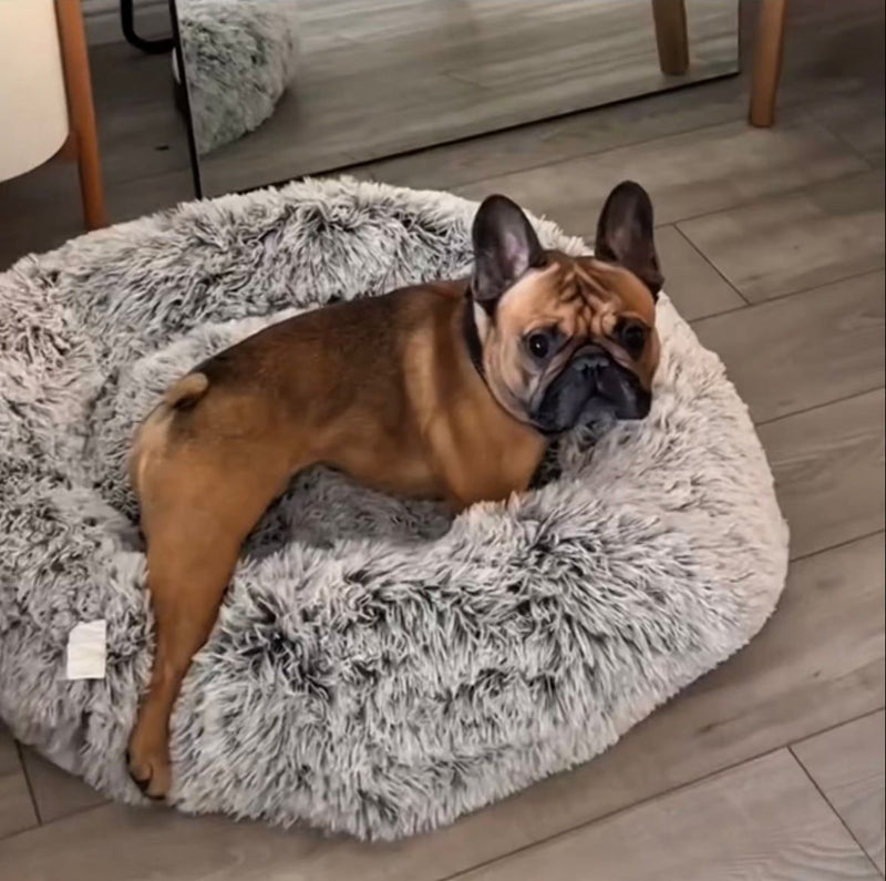 Daniel P. – Winnipeg, Canada