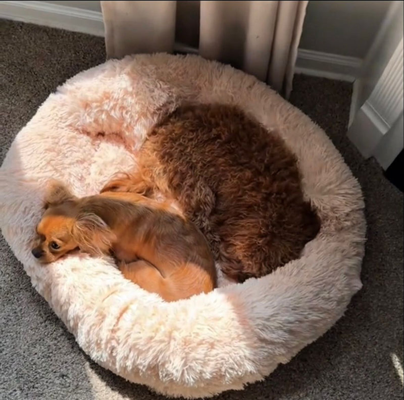 Ethan C. – Halifax, Canada