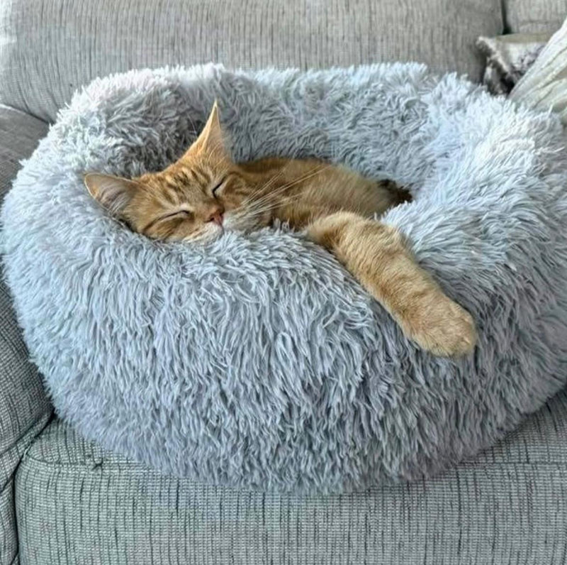 Noah F. – London, Canada