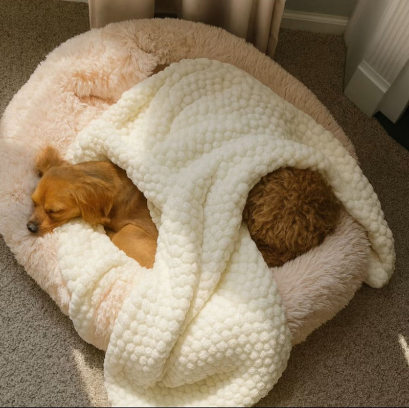 Jason M. – Vancouver, Canada