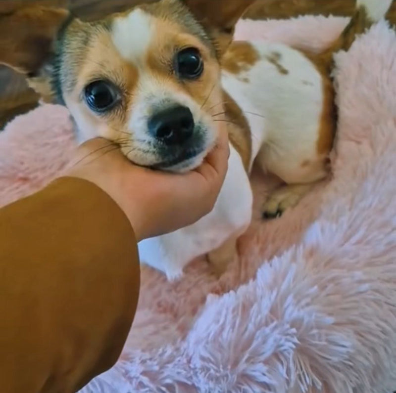 Colton J. –Victoria, Canada