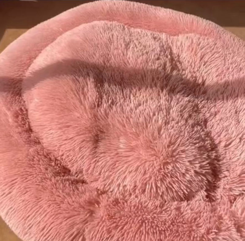 Hannah L. – Edmonton, Canada