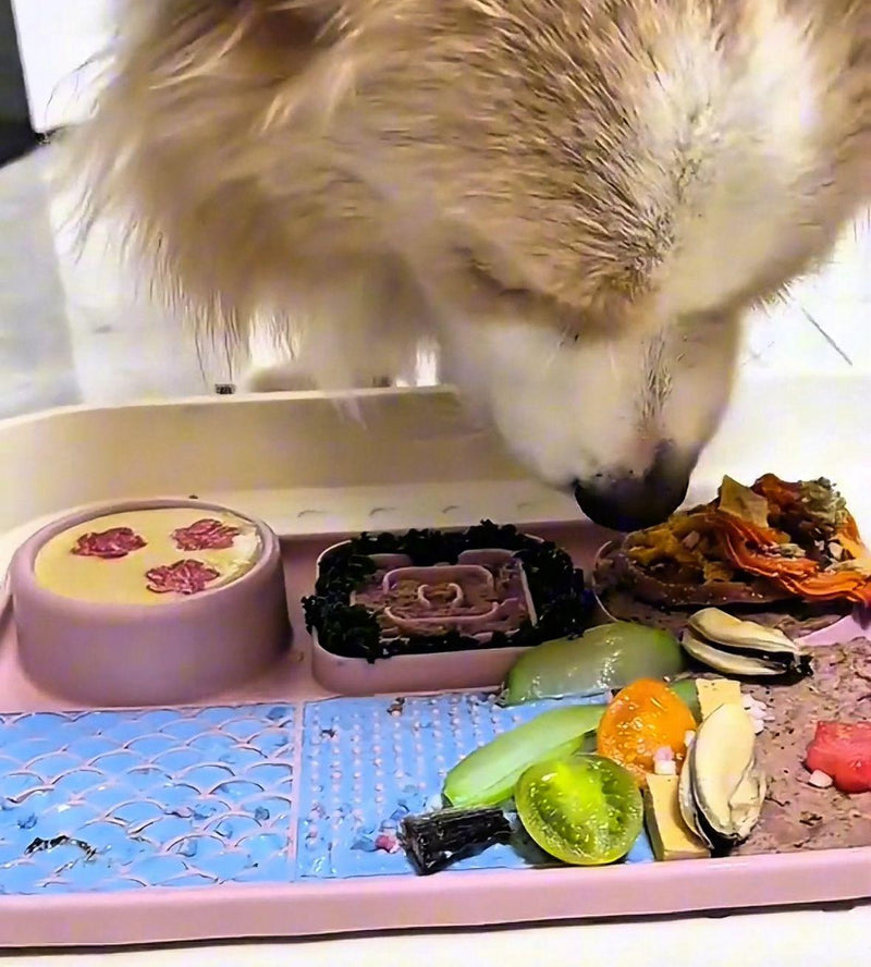 Jessica L. – Adelaide, SA, Australia