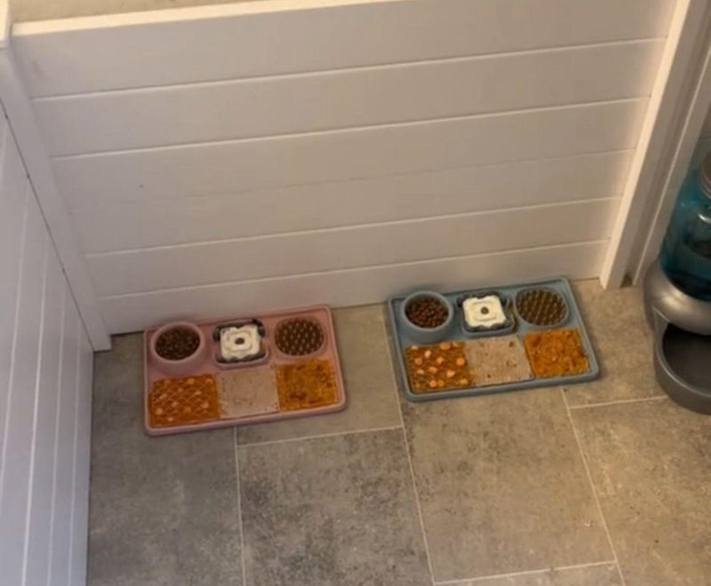 Robert H. -  Hobart, Australia