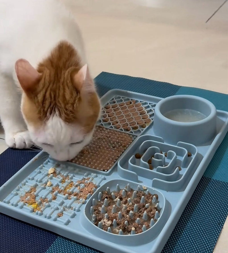 Ethan Walker -Adelaide, Australia