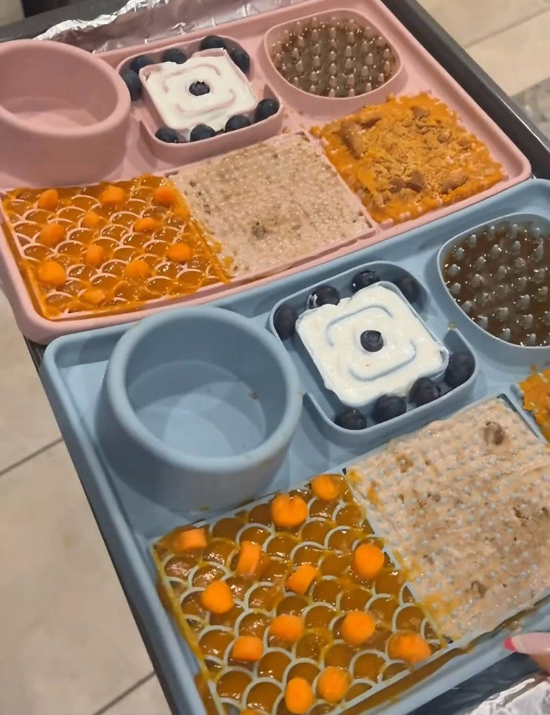 David K. - Gold Coast, Australia