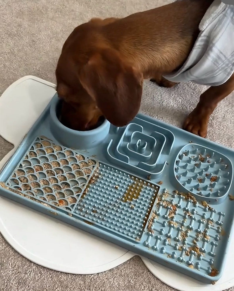 Sarah M - Sydney, Australia