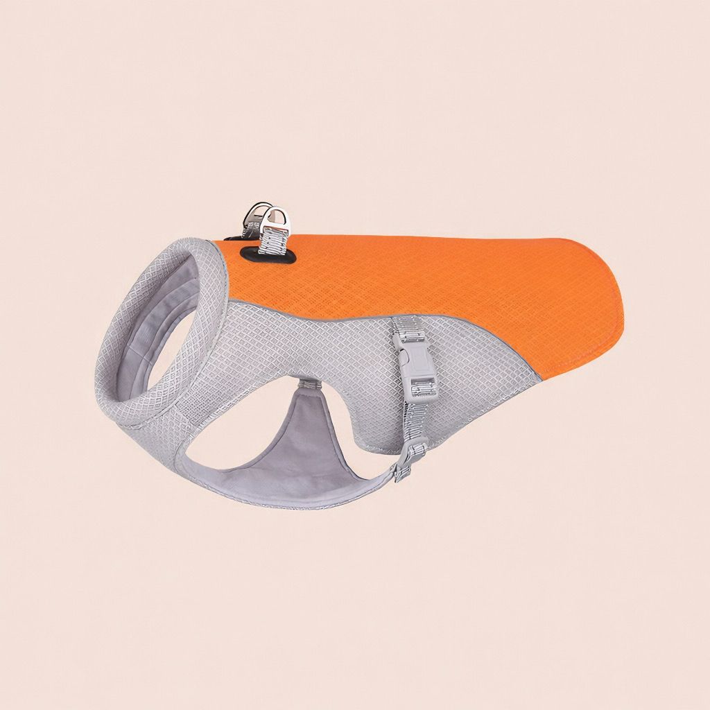 theFurora -  Cooling Vest