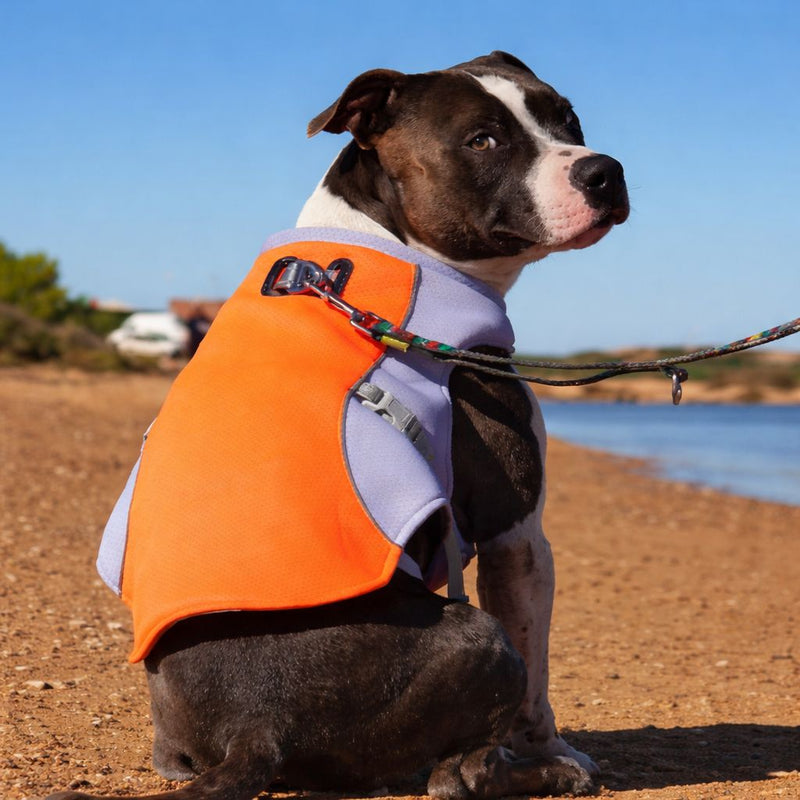 Amanda R. — Sydney, NSW, Australia