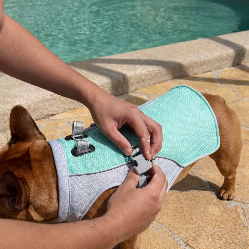 Sarah L. — Perth, WA, Australia