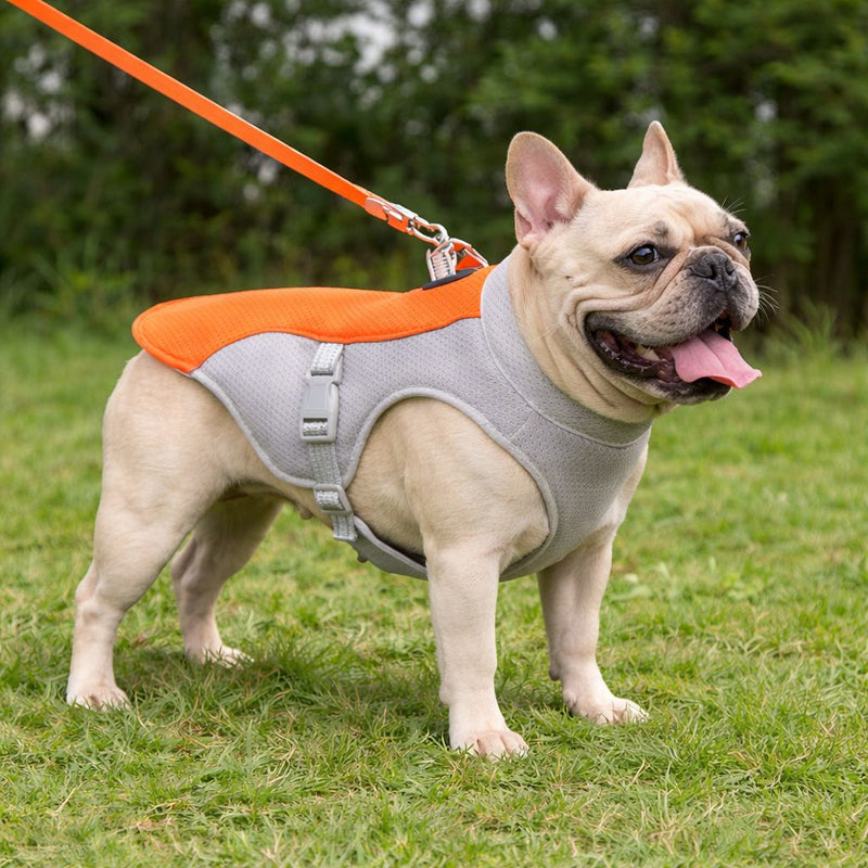 Hannah J. — Oakville, ON, Canada