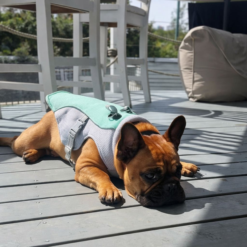 Jason M. — Brampton, ON, Canada