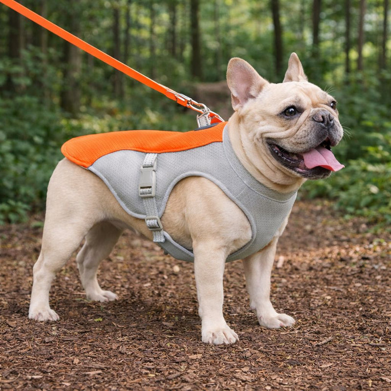 Olivia H. — Adelaide, SA, Australia