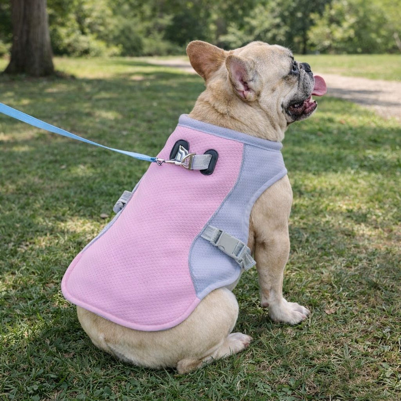 Mark D. — Calgary, AB, Canada