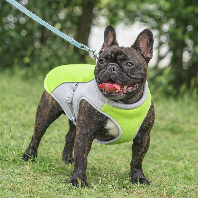 Emily T. — Melbourne, VIC, Australia