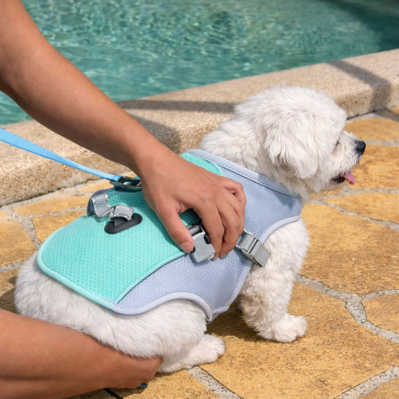 Ethan C. — Hobart, TAS, Australia