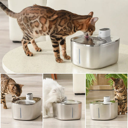 theFurora™ Cordless Cat Fountain