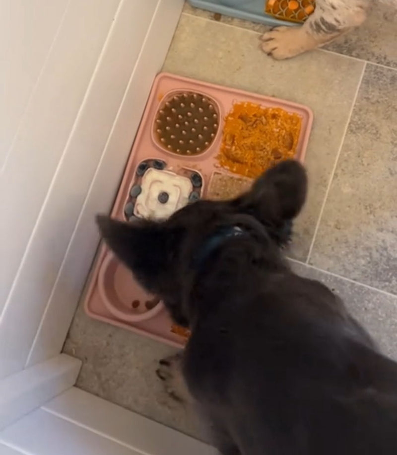 Emily R.  – Sydney, NSW, Australia