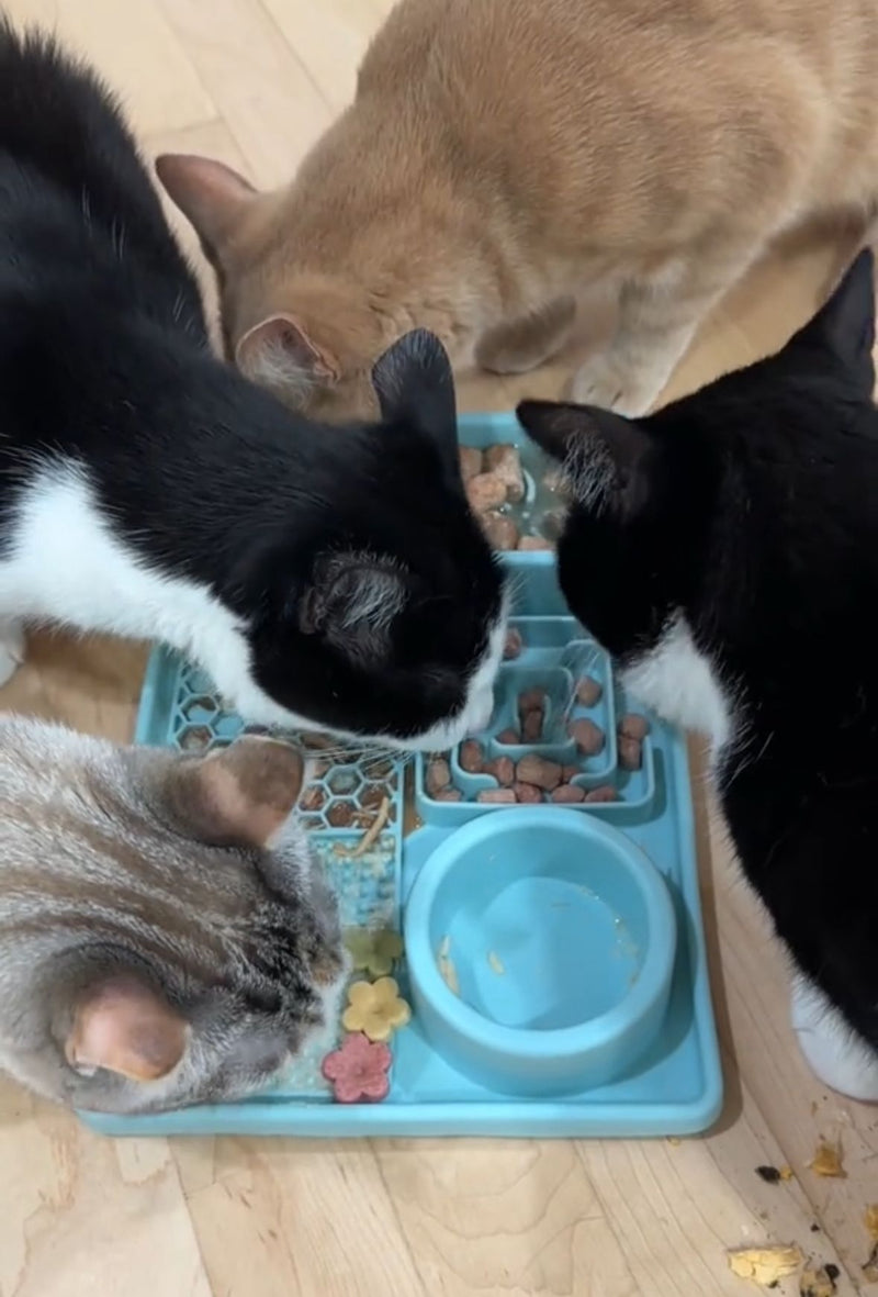 Sarah M. – Toronto, ON, Canada