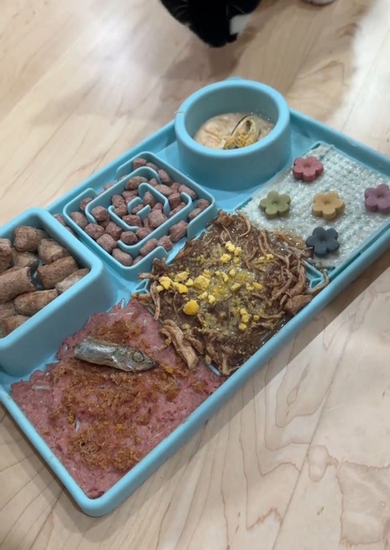 John D. – Vancouver, BC, Canada