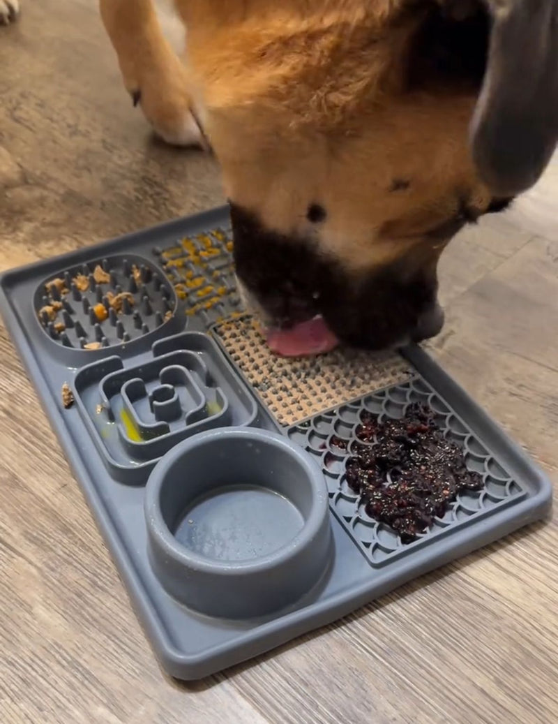 Michelle C. – Austin, TX, USA